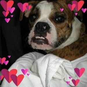 Meet your Posher, Debra